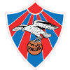 Valur'KH'Falkar U19 logo