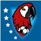 Primera Division de Honduras